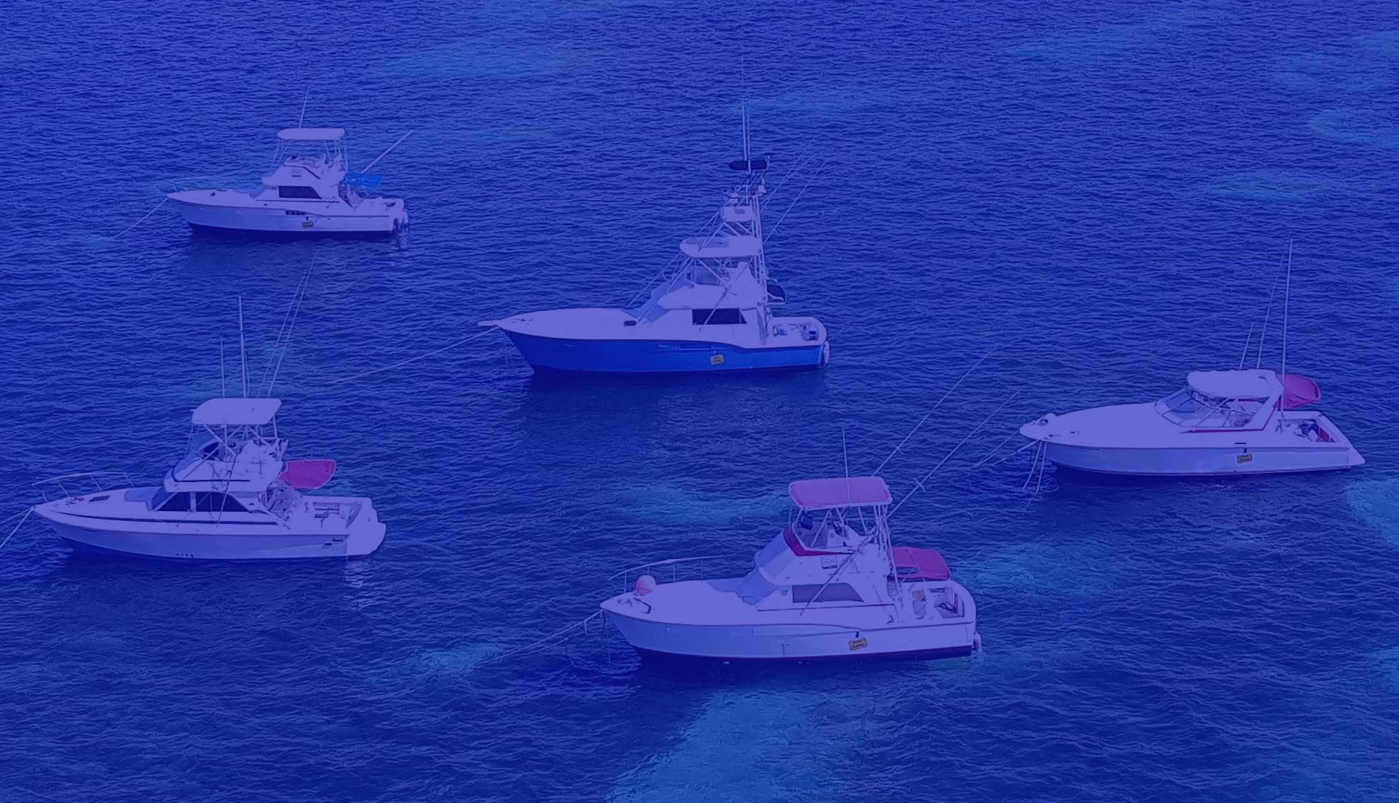 Gone Fishing Punta Cana Charters