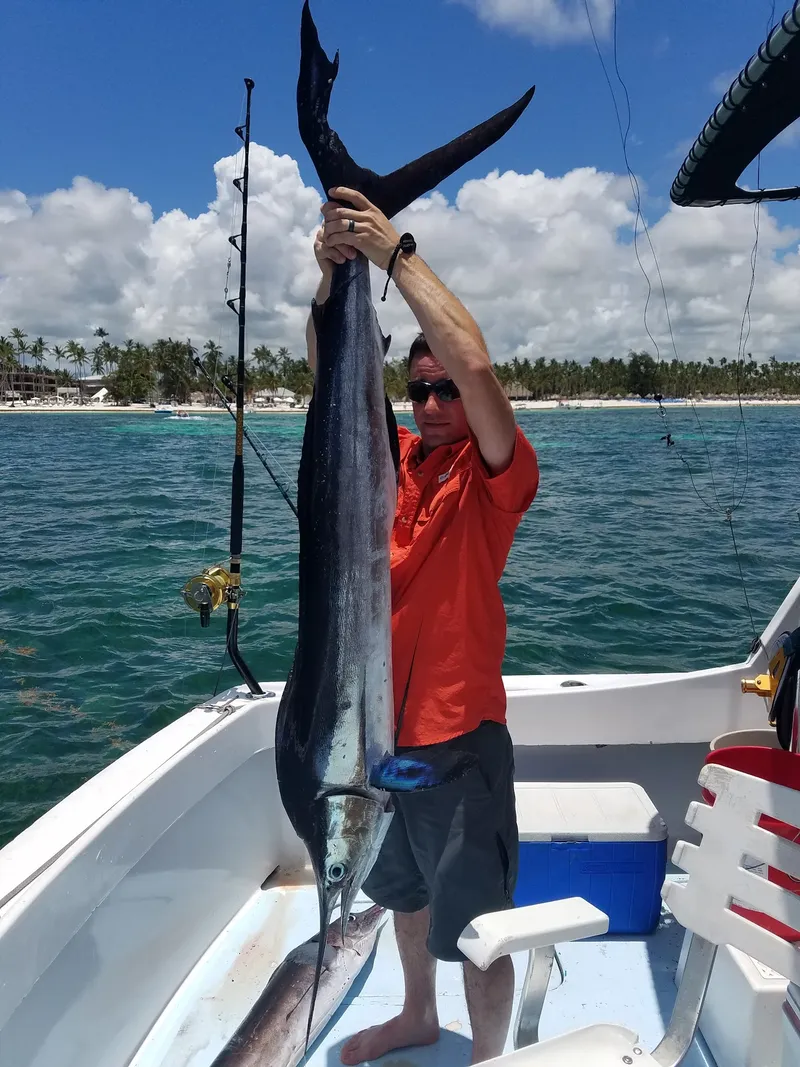 Quella sensazione quando la tua prima cattura è un Marlin Blu - sogni di pesca d'altura a Punta Cana