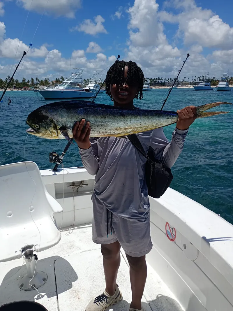 Viaggio di pesca a Punta Cana - Mahi Mahi agganciato su noleggio Gone Fishing