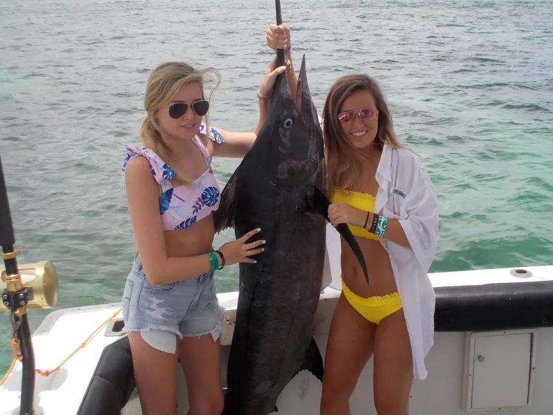 La lotta era reale - ma questo Marlin non è riuscito a sfuggire al potere femminile