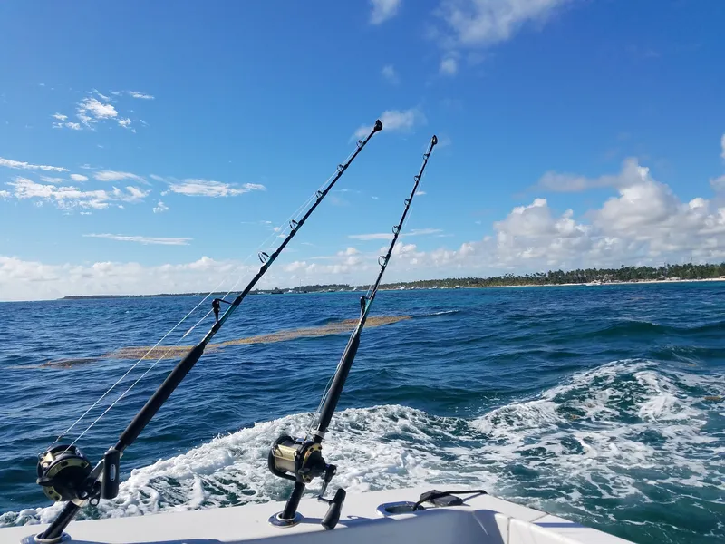 Lenze tese sui noleggi Gone Fishing
