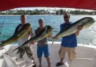 Gone Fishing Punta Cana - Deep Sea Fishing