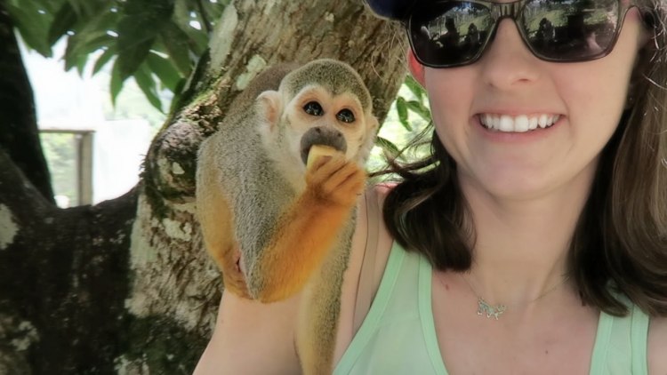 Monkeyland and Plantation Safari Tour - Punta Cana, Dominican Republic